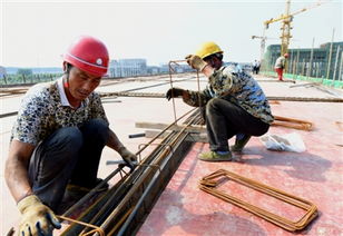 聚一蝦整肢蝦生產(chǎn)項目進展順利，建筑智能化系統(tǒng)設(shè)計助力高效試生產(chǎn)